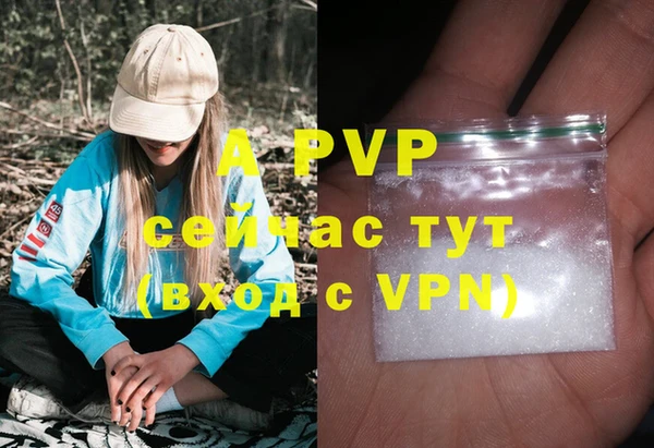 бошки Абаза