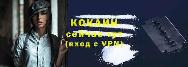прущие крисы Абинск