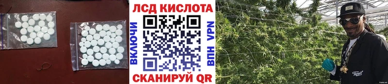 где купить наркоту  Чайковский  Лсд 25 экстази кислота 