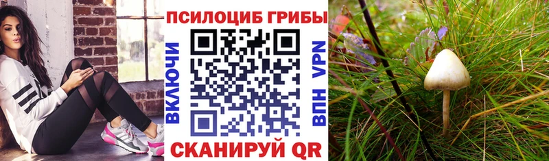 Галлюциногенные грибы GOLDEN TEACHER  сайты даркнета как зайти  Чайковский  купить  цена 